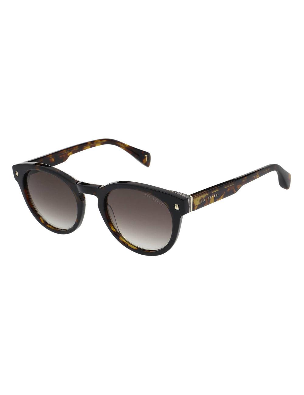 Brown Ted Baker DAX - Round Chunky Temple Men Sunglasses | SG  1287-CLETU
