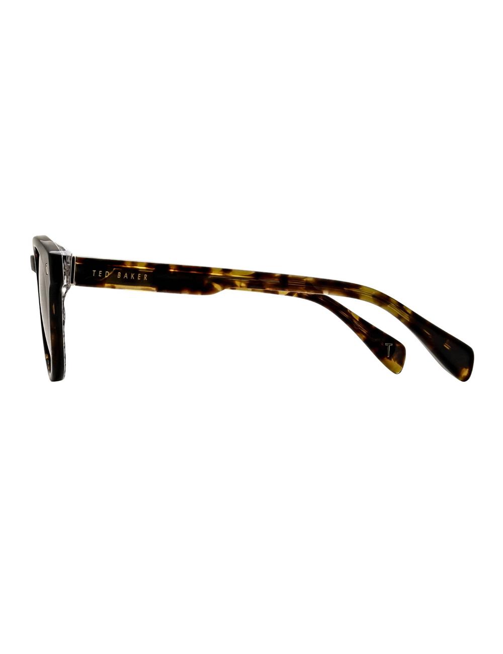 Brown Ted Baker DAX - Round Chunky Temple Men Sunglasses | SG  1287-CLETU