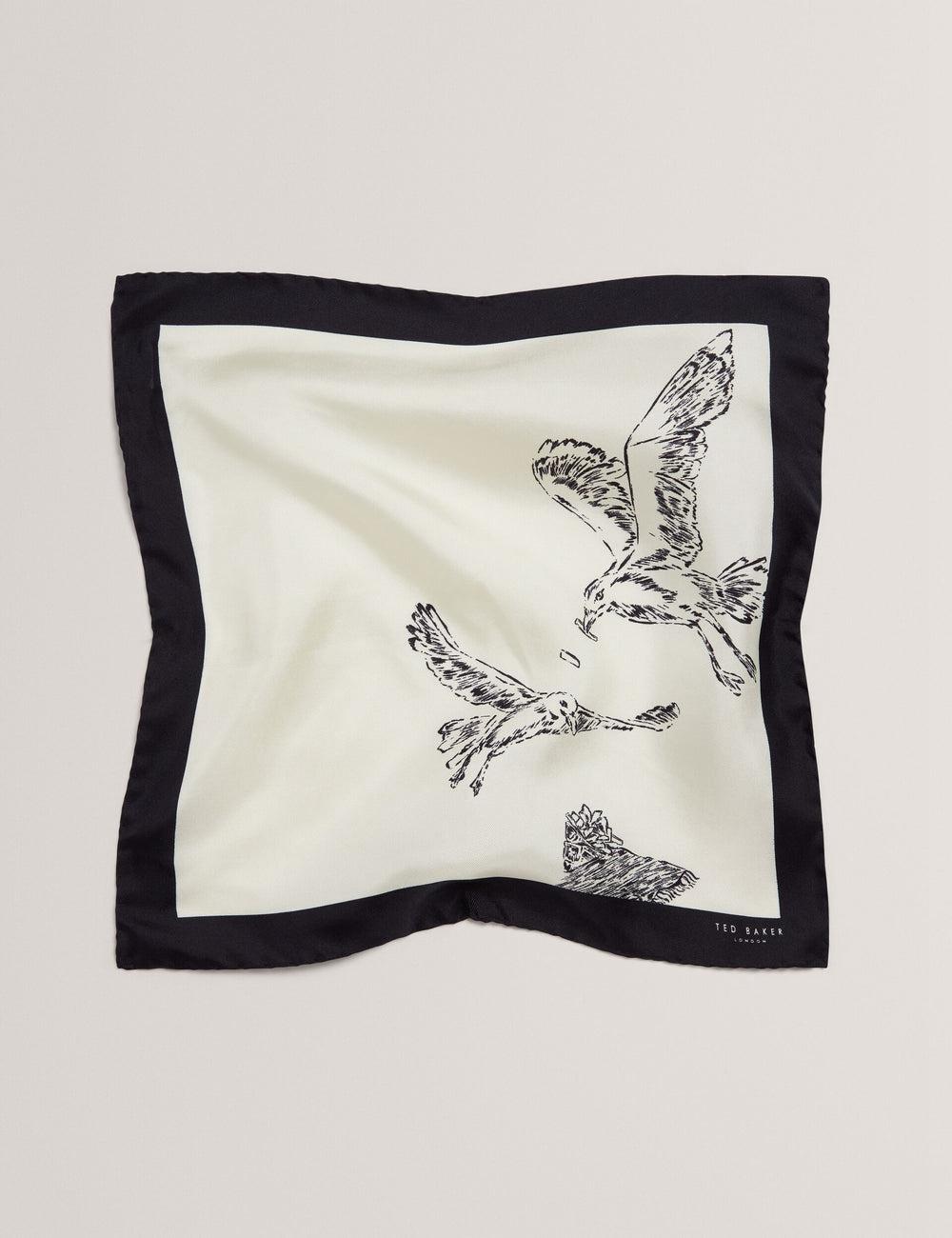 Ecru Ted Baker BENHALP - Seagull Graphic Silk Pocket Men Pocket Squares | SG  3657-SRPFC
