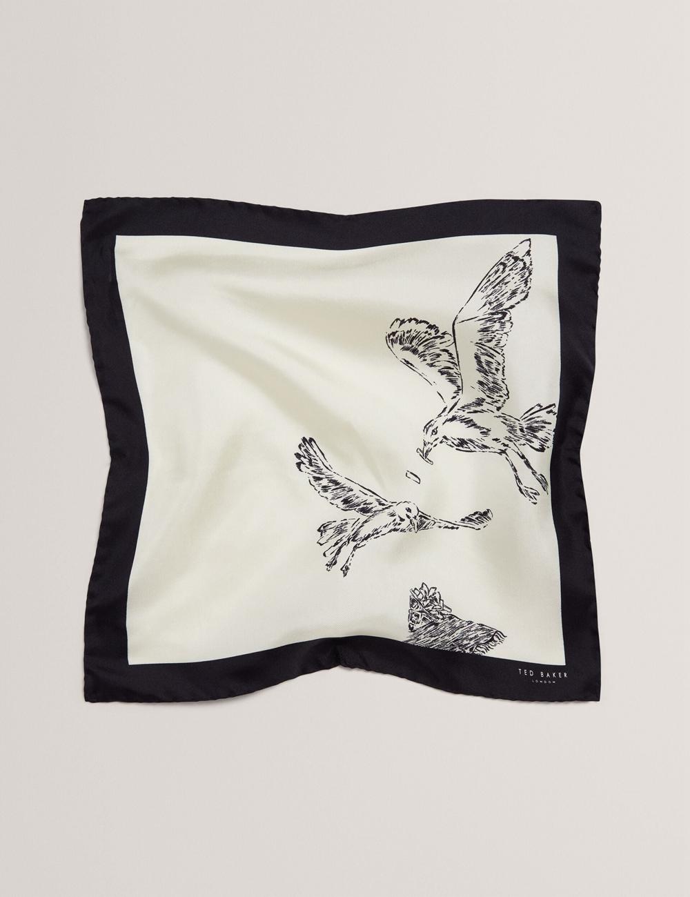 Ecru Ted Baker BENHALP - Seagull Graphic Silk Pocket Men Pocket Squares | SG  3657-SRPFC