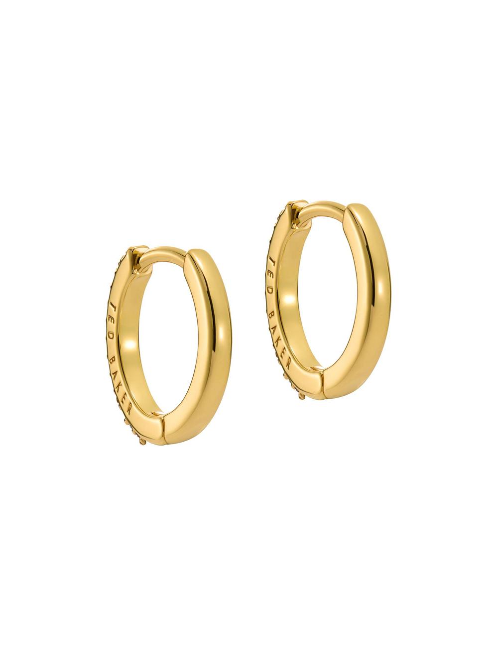 Multicol Ted Baker HEPLIE - Crystal Huggie Hoop Women Earrings | SG  6597-FRBGK