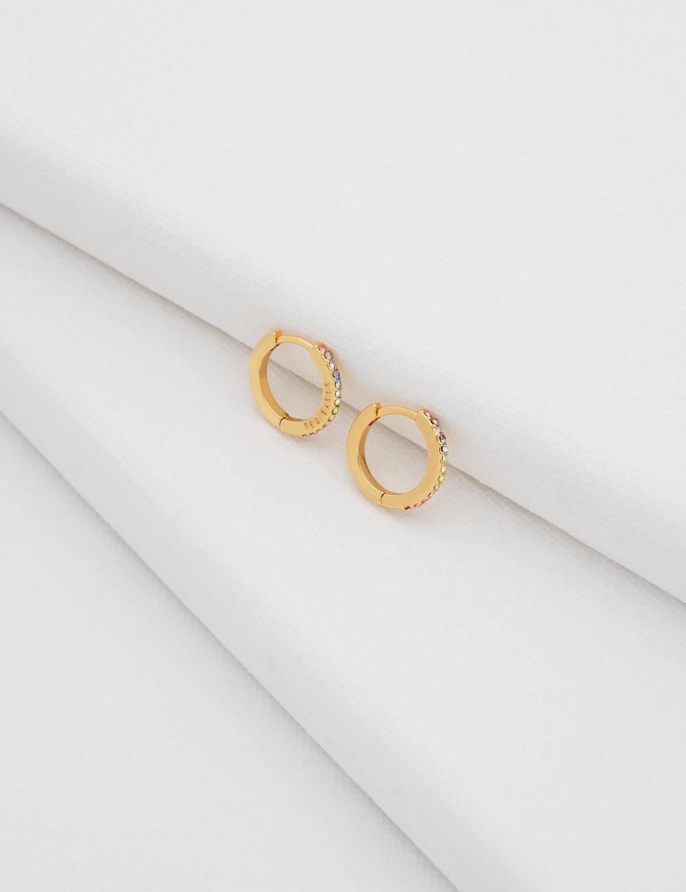 Multicol Ted Baker HEPLIE - Crystal Huggie Hoop Women Earrings | SG  6597-FRBGK