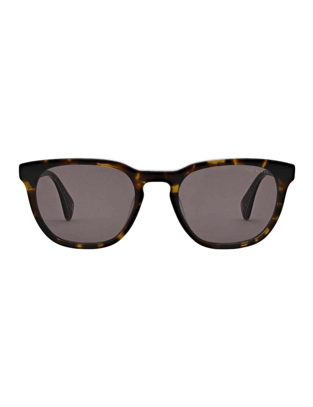 Tort Ted Baker SORLEY - Classic Rounded Eye Men Sunglasses | SG  4976-HLIER
